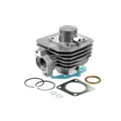 Cilinderkit Standaard - Peugeot Ludix