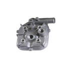Cilinderkop Peugeot Speedfight (LC)