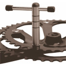 Cyclus Bladbout Sleutel