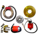 HPI Binnenrotor Ontsteking Piaggio