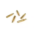 stationairsproeierset  BGM pro  dellorto (type: 9892) si   (58 60 62 65 68/160)