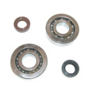 Krukas Revisieset Peugeot Fox - Lagers en keerringen