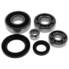 Lagerset / Revisieset Transmissie Piaggio lang (o.a. Runner, NRG, SR Street)