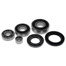 Lagerset / Revisieset Transmissie Piaggio kort(o.a. Zip en LX)