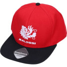 Pet -Cap  Malossi  Rood