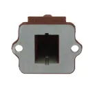 membraan piaggio piaggio 50 180cc  koolstofvezel gfk bloemblaadjes