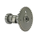 Nokkenas Gy6 4t Standaard 50cc