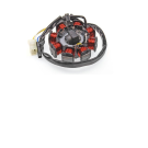 Ontsteking Kymco Agility/Filly 50 elec