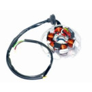 Ontsteking Malaguti Phantom / Firefox