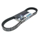 V-snaar Polini Aramide Piaggio Kort (versie 3)