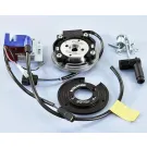 Binnenrotor Polini PVL Digitaal Piaggio 2T