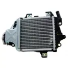 Radiateur Honda PCX 125 / 150 / SH 125 / SH 150