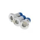 Schroef Platkop Universeel Voor Remschijven 10x20 16  3 Stuks