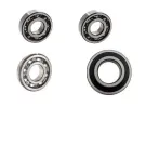 Revisie set transmissie (vertandingslagers) Minarelli