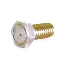 Magneetschroef Voor Remschijf Koso M6x1.0x19.7