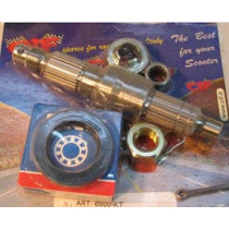 Achteras met lagers Gilera Runner