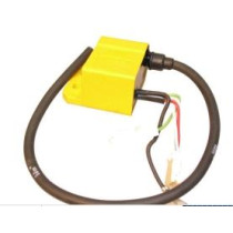 Bobine - TP - Vast - Malaguti - Phantom F12