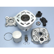 Cilinderkit Polini Evolution Piaggio - type:2006