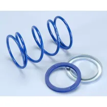 Drukveer Polini Evo-Slider Piaggio D.4,1