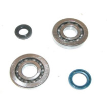 Krukas Revisieset - Peugeot - Lagers en Keerringen