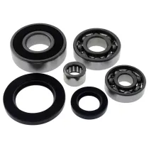 Lagerset / Revisieset Transmissie Piaggio lang (o.a. Runner, NRG, SR Street)