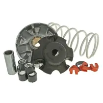 Malossi vario Piaggio Zip 4T / Primavera (Ook iGet E4+E5)