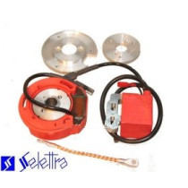 Ontsteking - Binnenrotor - Selettra - Peugeot