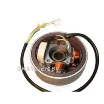 Ontsteking (stator) Italjet Forumla 50