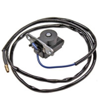 Toerenbegrenzer koppeling (pickup) China / GY6 / Retro 4-takt (25 km/h)