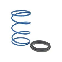 Polini drukveer 36 kg / 4.6 - Evo Slider (Piaggio)