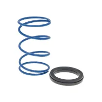 Polini drukveer 30 kg / 4.4 - Evo Slider (Piaggio)