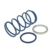 Polini drukveer 28 kg / 3.8 - Evo Slider (Minarelli)