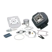 Cilinderkit Polini Gietijzer Racing Minarelli Verticaal