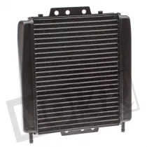 Radiateur Piaggio MP3 en Gilera Fuoco 