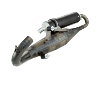 Racing uitlaat Simonini Gilera/Piaggio 125/180ccm 2T