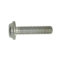 Schroef Piaggio  m6 Afscheurbaar  Anti Manipulatie)