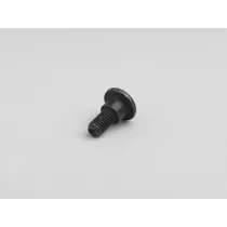 Schroef Lichaamsdelen M6 x 20mm Met Trap Piaggio Kruiskop