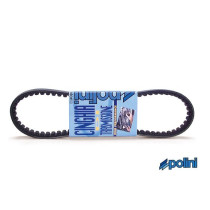 V-Snaar Minarelli scooter - Polini Evolution