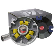 Variateur Naraku - CPI  Adly Generic