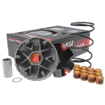 Variateur Naraku - GY6 / 4takt scooters - met drukveer