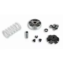 Malossi Vario - Honda Vision 4-takt