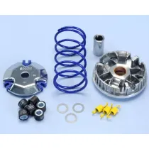 Polini Vario - Honda Vision 4-takt