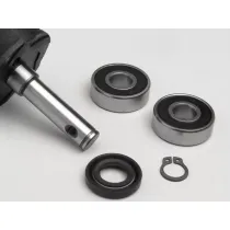 waterpomp reparatieset minarelli 50 cc lc