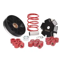 Vario Yasuni Pro Race V2 voor Piaggio (98-)