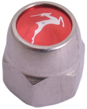 Vooras Siermoer Gazelle Nexus Naaf M9x16 RVS