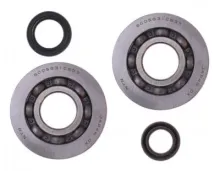 Krukaslagers en keerringen Piaggio 125cc - 4-takt