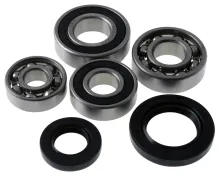 Lagerset / Revisieset Transmissie Peugeot Verticaal E1 + E2