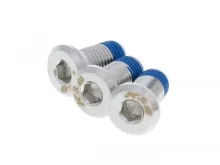 Schroef Platkop Universeel Voor Remschijven 10x20 16  3 Stuks