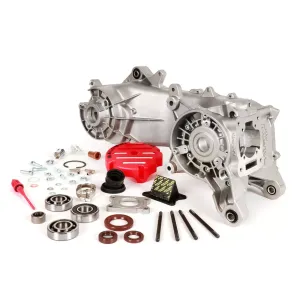 Malossi C-one carter Piaggio lang