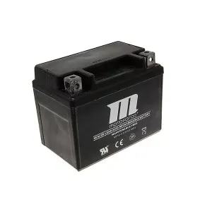 Scooter accu 12v 5Ah (TIP)